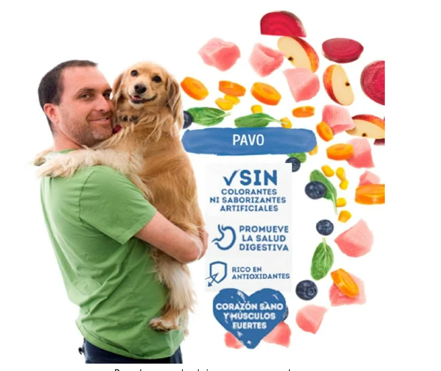 Croquetas Beneful Minis Pavo 10kg