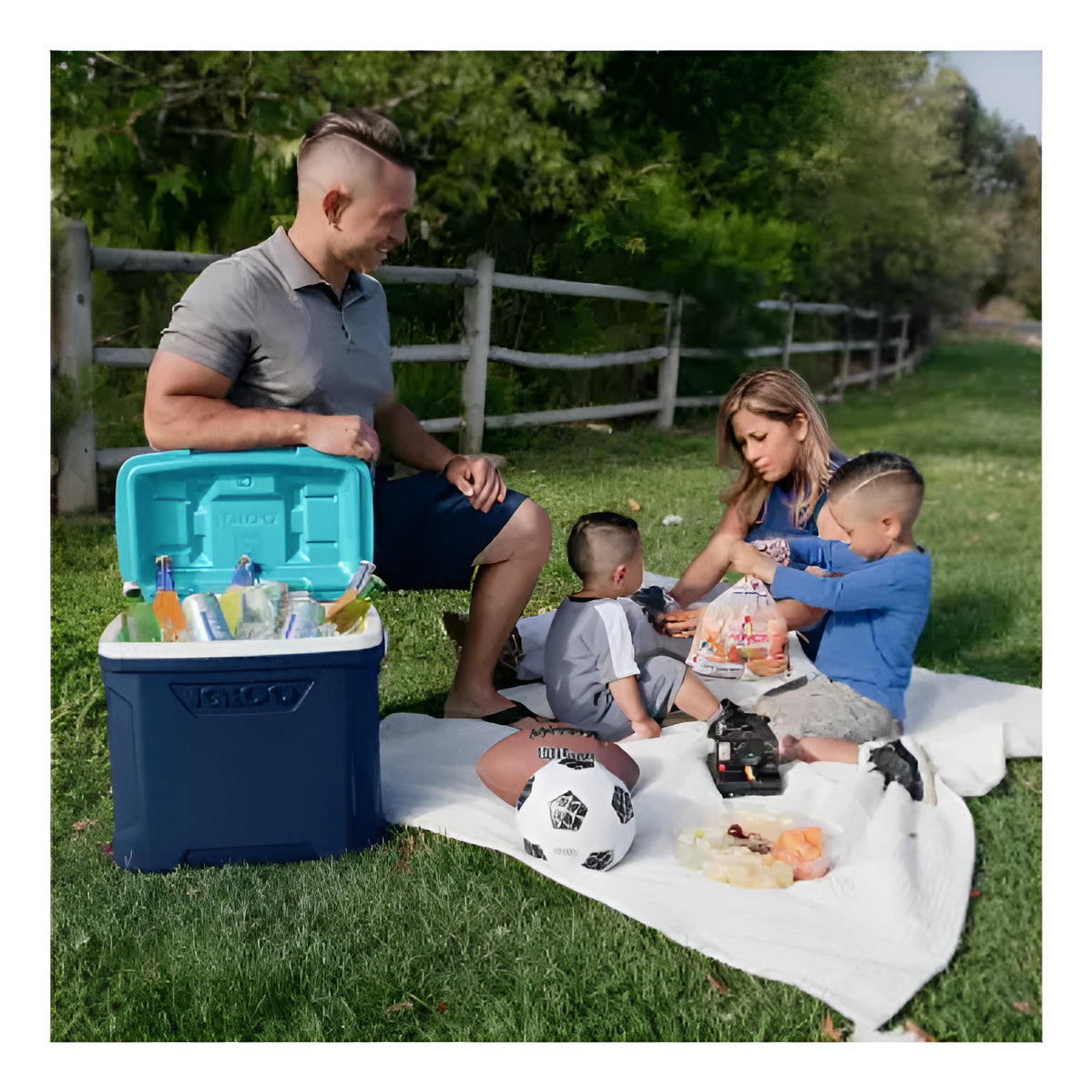 Hielera Igloo Contour 28 Litros 30 Qt 41 Latas