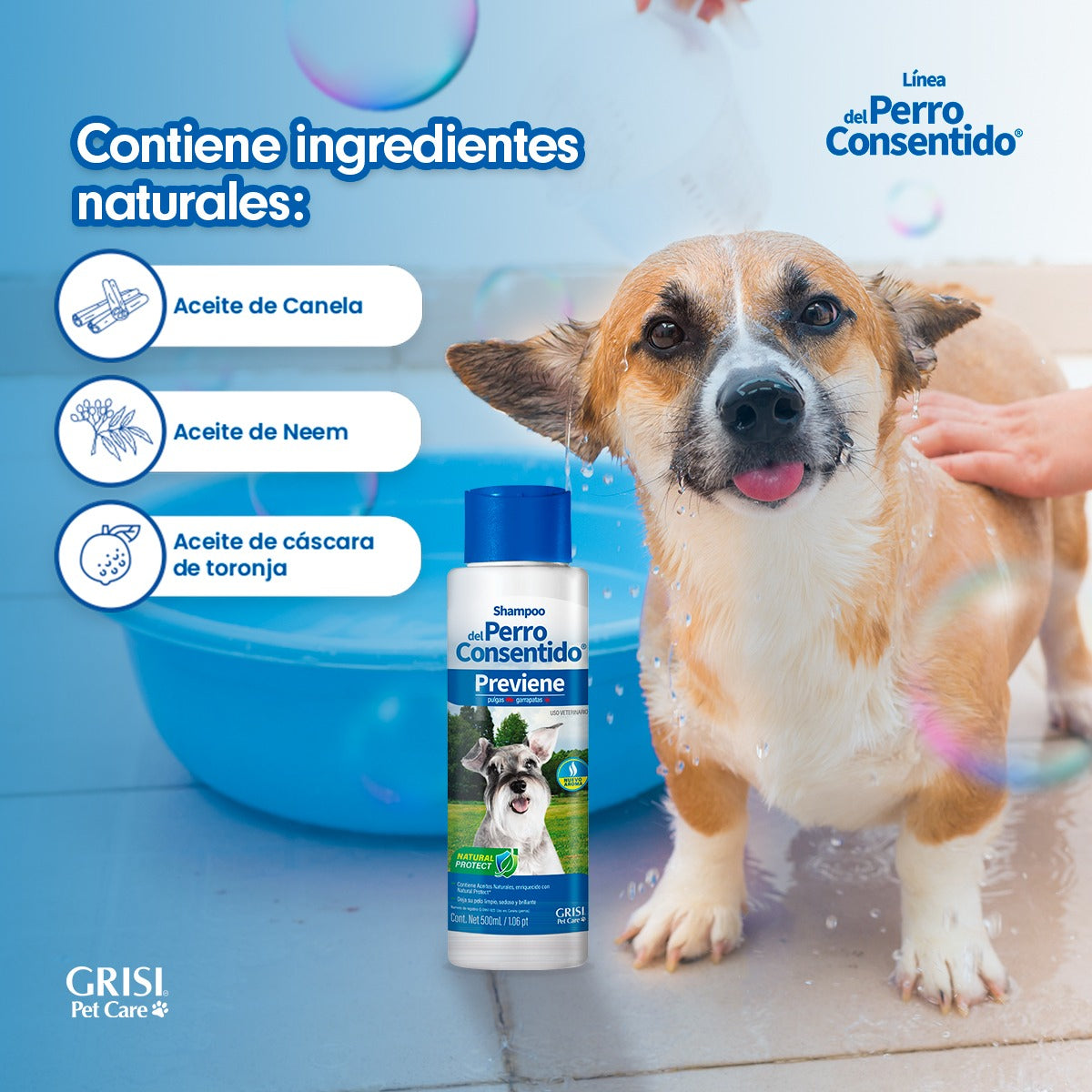 Shampoo Del Perro Consentido 500ml Fragancia Neutra