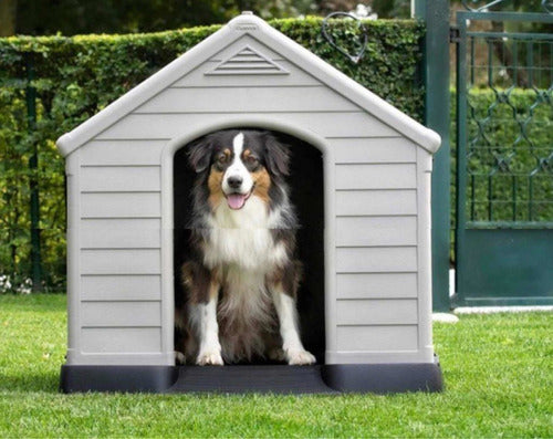 Casa Perro Raza Mediana Y Grande Térmica Member's Mark Color