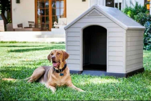 Casa Perro Raza Mediana Y Grande Térmica Member's Mark Color
